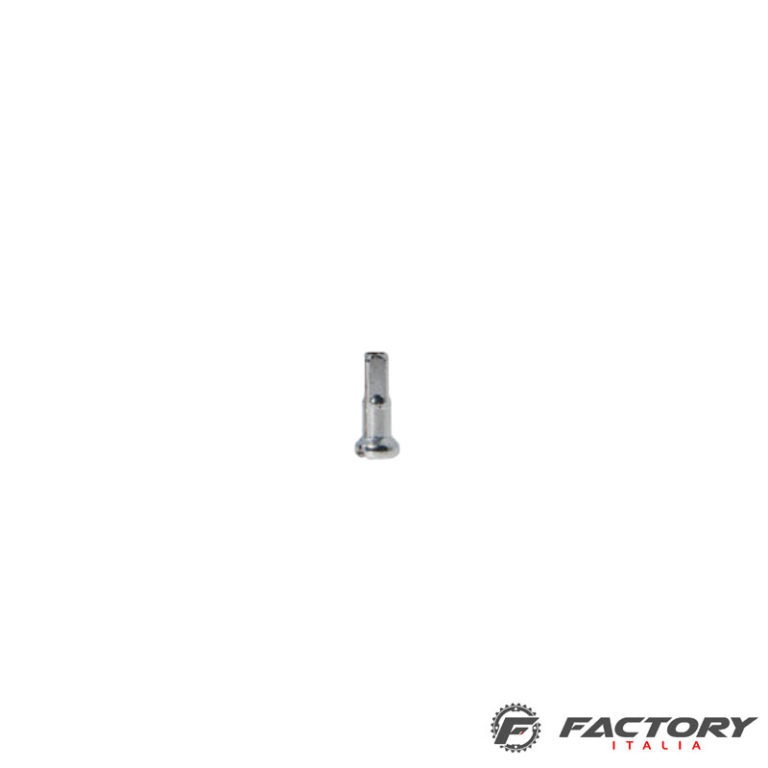 Nippli Per Raggi Di Bici Spiegati: Tutto Ci&ograve; Che Devi Sapere