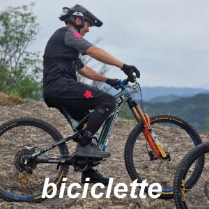 Biciclette vendita online